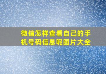 微信怎样查看自己的手机号码信息呢图片大全