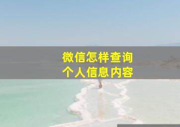 微信怎样查询个人信息内容