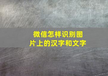 微信怎样识别图片上的汉字和文字