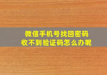 微信手机号找回密码收不到验证码怎么办呢