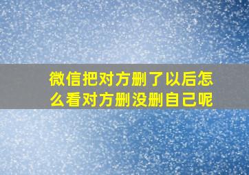 微信把对方删了以后怎么看对方删没删自己呢