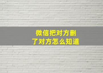 微信把对方删了对方怎么知道