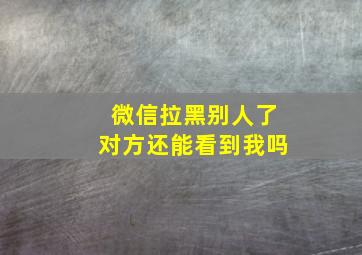 微信拉黑别人了对方还能看到我吗