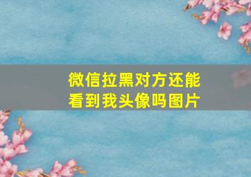 微信拉黑对方还能看到我头像吗图片