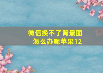 微信换不了背景图怎么办呢苹果12