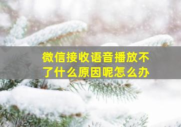 微信接收语音播放不了什么原因呢怎么办