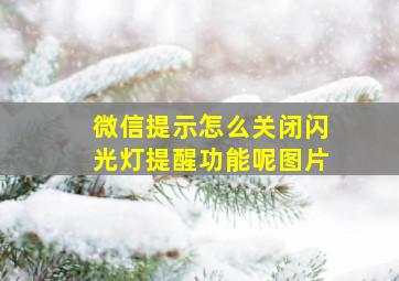 微信提示怎么关闭闪光灯提醒功能呢图片