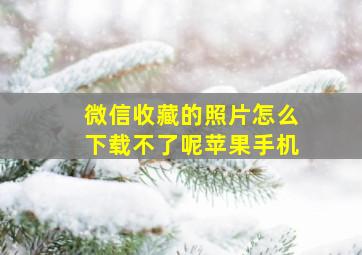 微信收藏的照片怎么下载不了呢苹果手机