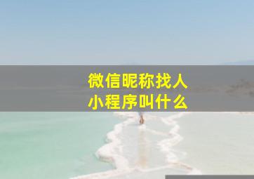 微信昵称找人小程序叫什么