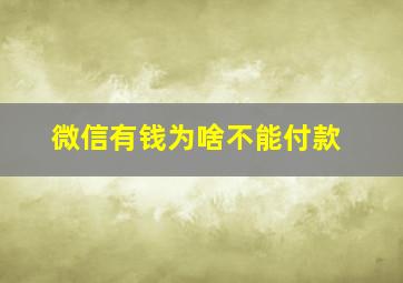 微信有钱为啥不能付款