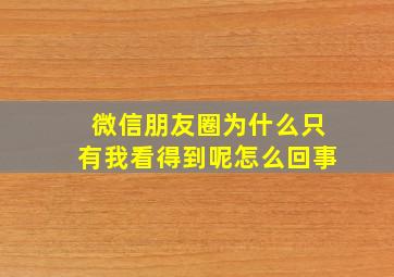 微信朋友圈为什么只有我看得到呢怎么回事