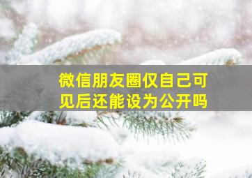 微信朋友圈仅自己可见后还能设为公开吗