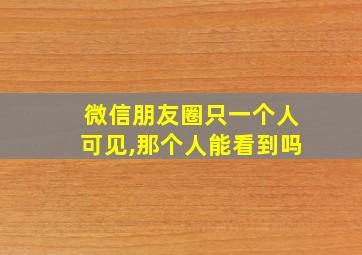 微信朋友圈只一个人可见,那个人能看到吗