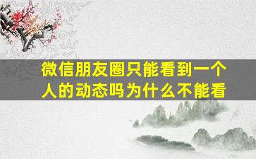 微信朋友圈只能看到一个人的动态吗为什么不能看