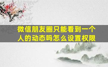 微信朋友圈只能看到一个人的动态吗怎么设置权限