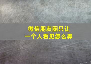 微信朋友圈只让一个人看见怎么弄