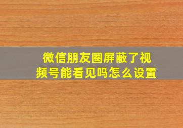 微信朋友圈屏蔽了视频号能看见吗怎么设置