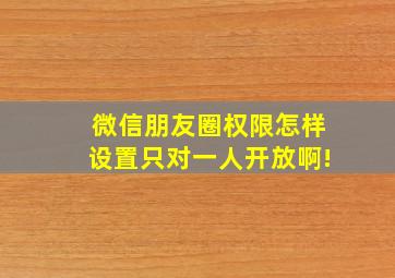 微信朋友圈权限怎样设置只对一人开放啊!