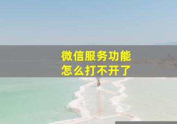 微信服务功能怎么打不开了