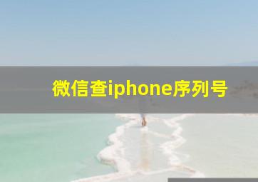 微信查iphone序列号