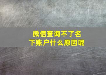 微信查询不了名下账户什么原因呢