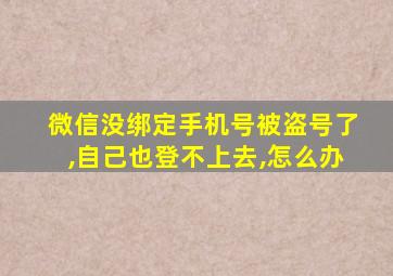 微信没绑定手机号被盗号了,自己也登不上去,怎么办