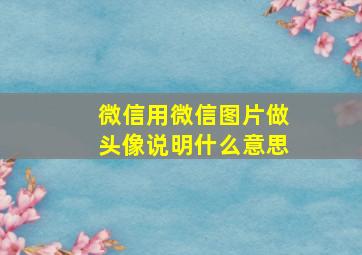 微信用微信图片做头像说明什么意思