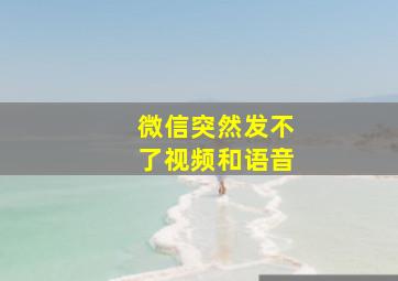 微信突然发不了视频和语音