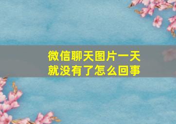 微信聊天图片一天就没有了怎么回事