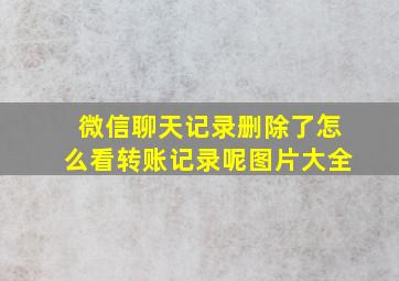 微信聊天记录删除了怎么看转账记录呢图片大全