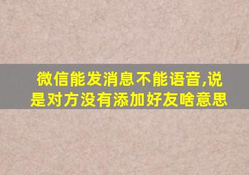 微信能发消息不能语音,说是对方没有添加好友啥意思