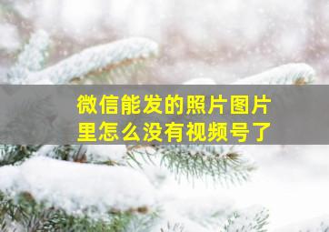 微信能发的照片图片里怎么没有视频号了