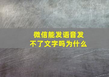 微信能发语音发不了文字吗为什么