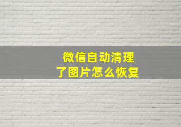 微信自动清理了图片怎么恢复