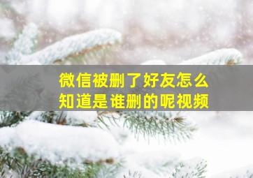 微信被删了好友怎么知道是谁删的呢视频