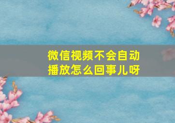 微信视频不会自动播放怎么回事儿呀