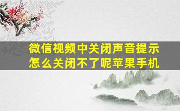 微信视频中关闭声音提示怎么关闭不了呢苹果手机