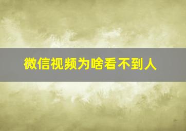 微信视频为啥看不到人