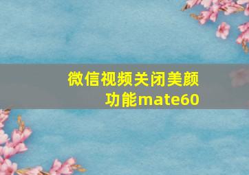 微信视频关闭美颜功能mate60