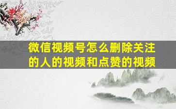 微信视频号怎么删除关注的人的视频和点赞的视频