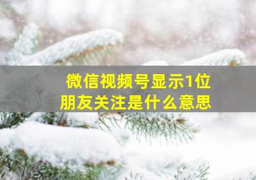 微信视频号显示1位朋友关注是什么意思