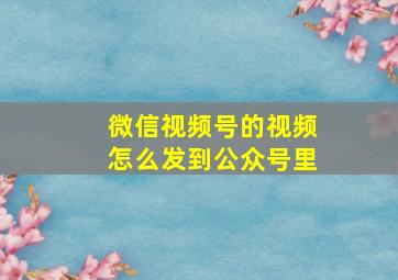 微信视频号的视频怎么发到公众号里