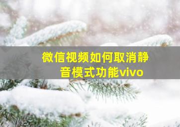 微信视频如何取消静音模式功能vivo