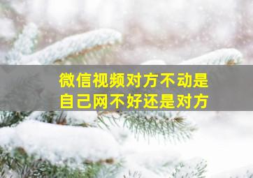 微信视频对方不动是自己网不好还是对方