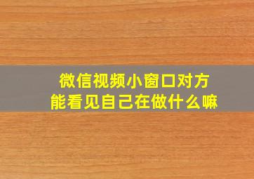 微信视频小窗口对方能看见自己在做什么嘛