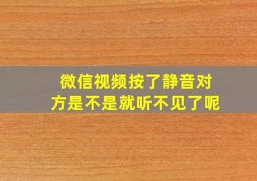 微信视频按了静音对方是不是就听不见了呢