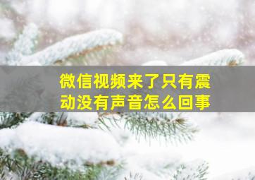 微信视频来了只有震动没有声音怎么回事