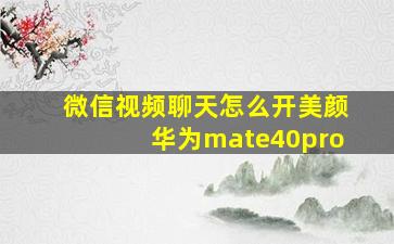 微信视频聊天怎么开美颜华为mate40pro