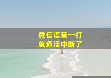 微信语音一打就通话中断了