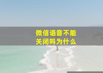 微信语音不能关闭吗为什么